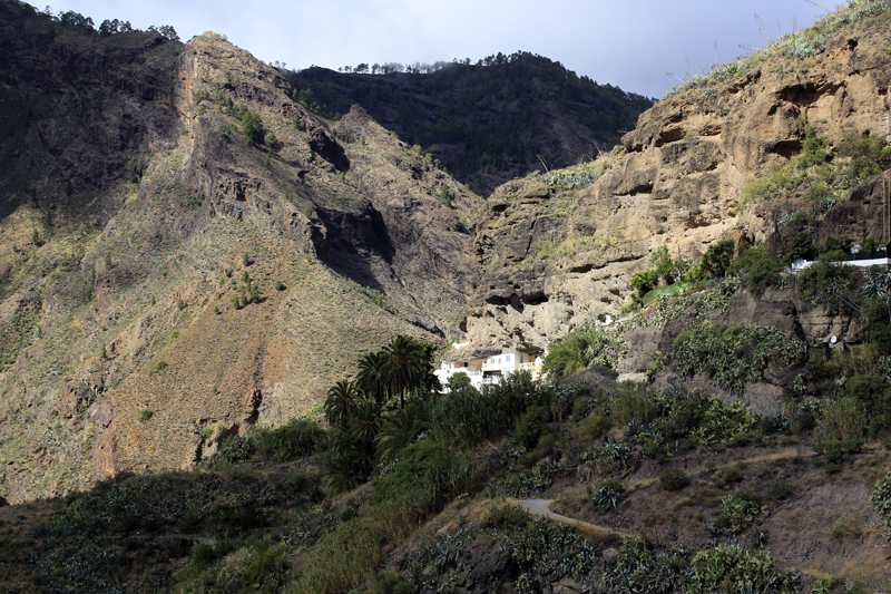 2016-11-07_143340 gran-canaria-2016.jpg - Vega de Acusa